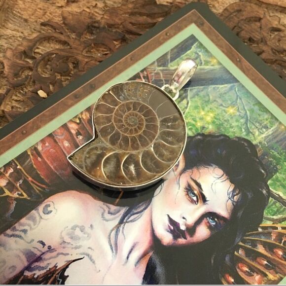 Ammonite Fossil Silver Pendant - Picture 2 of 5